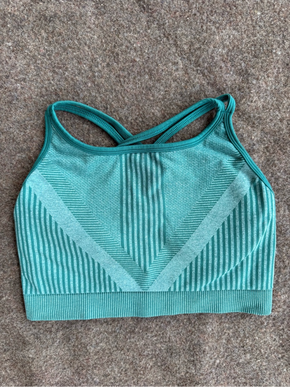 Smartwool Teal Striped Seamless Sports Bra